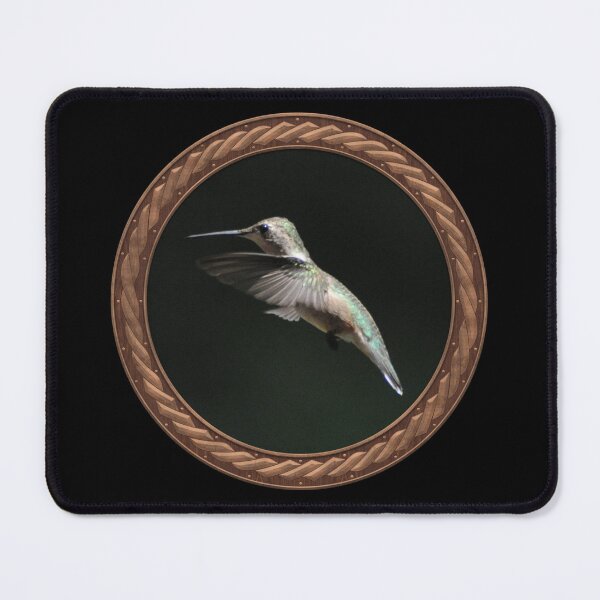 Item preview, Ruby-Throated Hummingbird Photography in Celtic Circle Frame 12 designed and sold by Swabcraft.