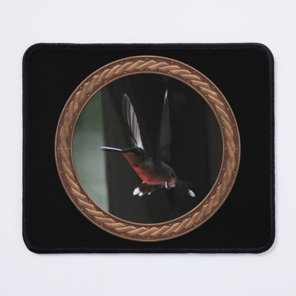 Item preview, Ruby-Throated Hummingbird Photography in Celtic Circle Frame 16 designed and sold by Swabcraft.