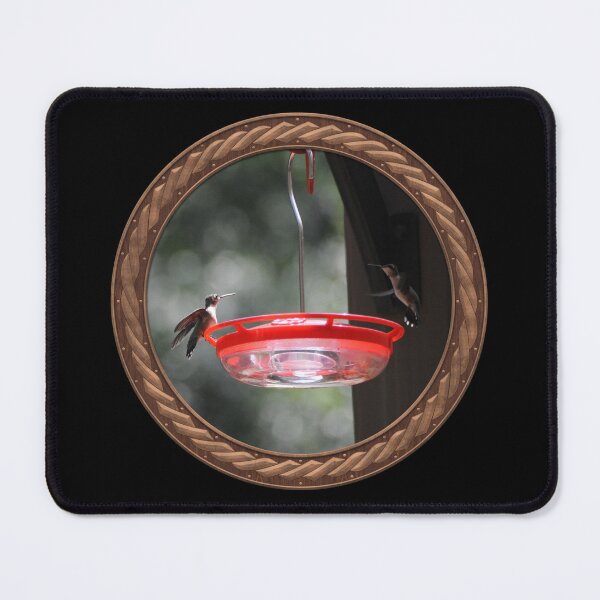 Item preview, Ruby-Throated Hummingbird Photography in Celtic Circle Frame 19 designed and sold by Swabcraft.
