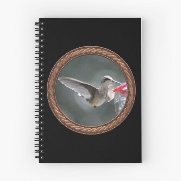 Item preview, Ruby-Throated Hummingbird Photography in Celtic Circle Frame 20 designed and sold by Swabcraft.