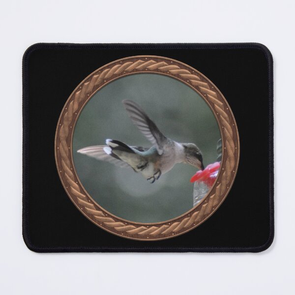 Item preview, Ruby-Throated Hummingbird Photography in Celtic Circle Frame 21 designed and sold by Swabcraft.
