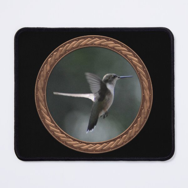 Item preview, Ruby-Throated Hummingbird Photography in Celtic Circle Frame 22 designed and sold by Swabcraft.