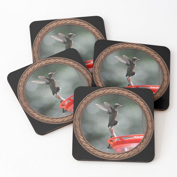 Item preview, Ruby-Throated Hummingbird Photography in Celtic Circle Frame 24 designed and sold by Swabcraft.