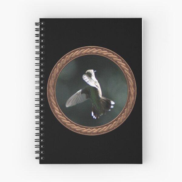 Item preview, Ruby-Throated Hummingbird Photography in Celtic Circle Frame 25 designed and sold by Swabcraft.