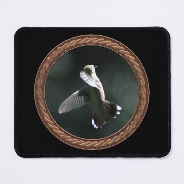 Item preview, Ruby-Throated Hummingbird Photography in Celtic Circle Frame 25 designed and sold by Swabcraft.