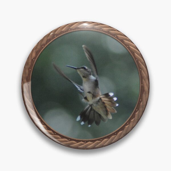 Item preview, Ruby-Throated Hummingbird Photography in Celtic Circle Frame 26 designed and sold by Swabcraft.