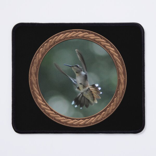 Item preview, Ruby-Throated Hummingbird Photography in Celtic Circle Frame 26 designed and sold by Swabcraft.