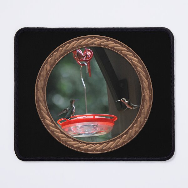 Item preview, Ruby-Throated Hummingbird Photography in Celtic Circle Frame 27 designed and sold by Swabcraft.