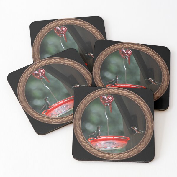 Item preview, Ruby-Throated Hummingbird Photography in Celtic Circle Frame 27 designed and sold by Swabcraft.