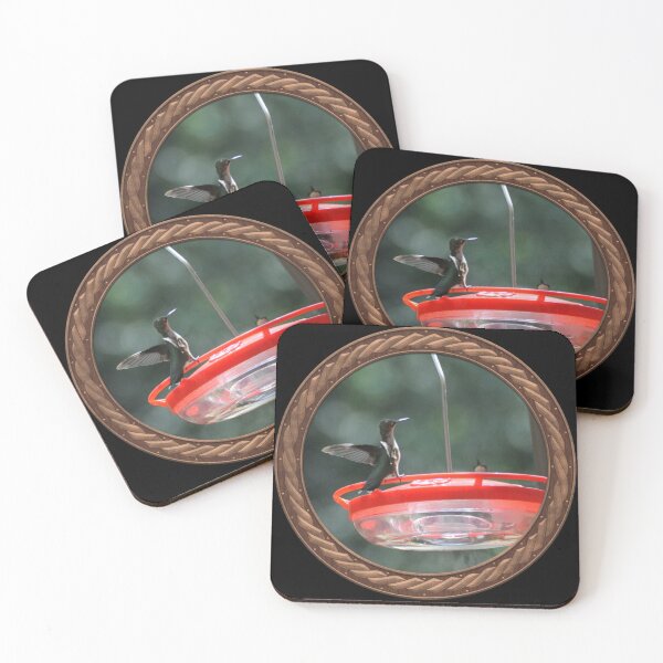 Item preview, Ruby-Throated Hummingbird Photography in Celtic Circle Frame 28 designed and sold by Swabcraft.