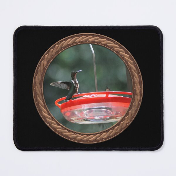 Item preview, Ruby-Throated Hummingbird Photography in Celtic Circle Frame 28 designed and sold by Swabcraft.