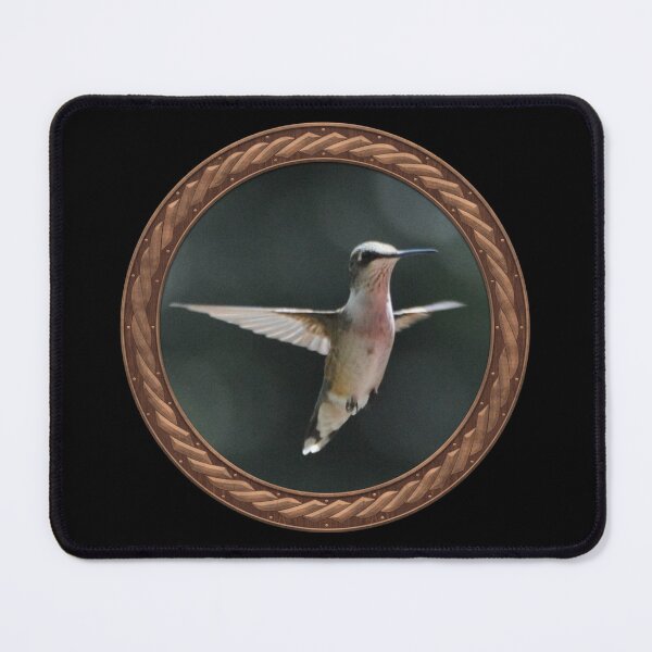 Item preview, Ruby-Throated Hummingbird Photography in Celtic Circle Frame 29 designed and sold by Swabcraft.