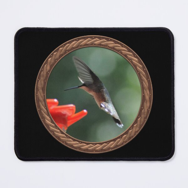 Item preview, Ruby-Throated Hummingbird Photography in Celtic Circle Frame 30 designed and sold by Swabcraft.