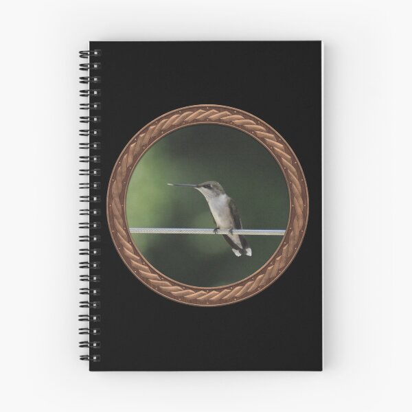 Item preview, Ruby-Throated Hummingbird Photography in Celtic Circle Frame 31 designed and sold by Swabcraft.