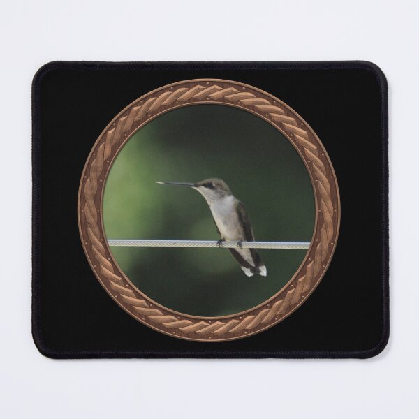 Item preview, Ruby-Throated Hummingbird Photography in Celtic Circle Frame 31 designed and sold by Swabcraft.