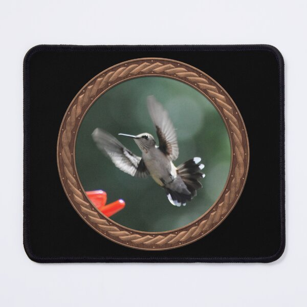 Item preview, Ruby-Throated Hummingbird Photography in Celtic Circle Frame 32 designed and sold by Swabcraft.