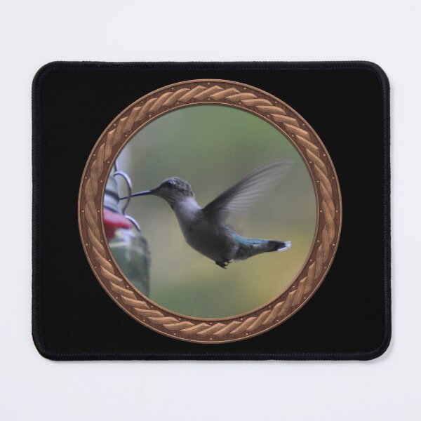 Item preview, Ruby-Throated Hummingbird Photography in Celtic Circle Frame 33 designed and sold by Swabcraft.