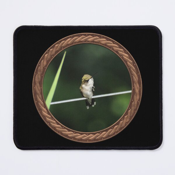 Item preview, Ruby-Throated Hummingbird Photography in Celtic Circle Frame 34 designed and sold by Swabcraft.