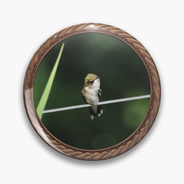 Item preview, Ruby-Throated Hummingbird Photography in Celtic Circle Frame 34 designed and sold by Swabcraft.