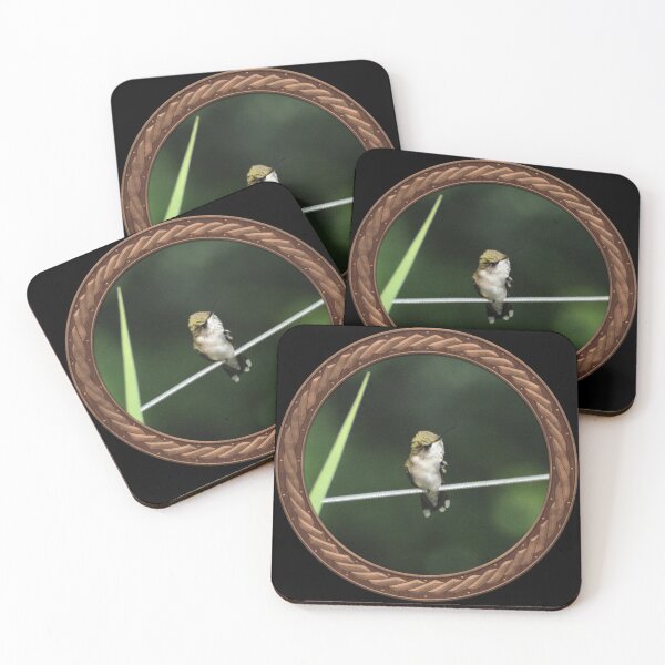 Item preview, Ruby-Throated Hummingbird Photography in Celtic Circle Frame 34 designed and sold by Swabcraft.