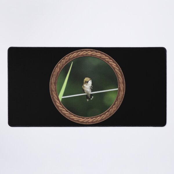 Item preview, Ruby-Throated Hummingbird Photography in Celtic Circle Frame 34 designed and sold by Swabcraft.