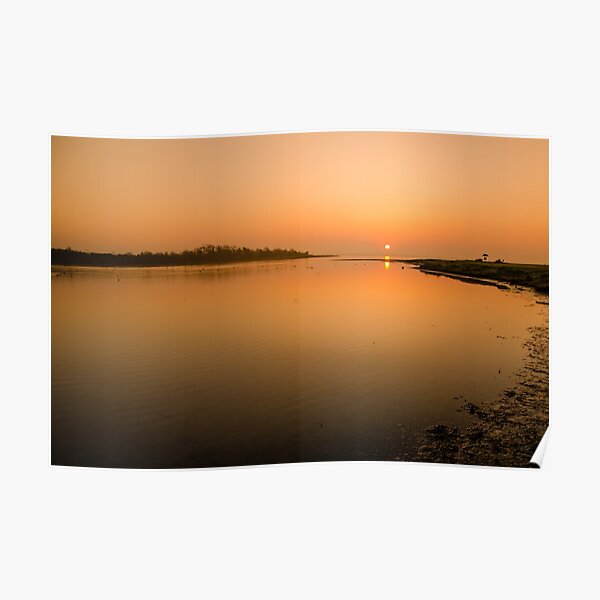 Estuary Poster
