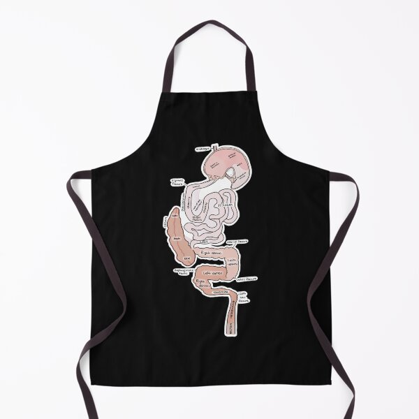 Item preview, Equine Digestive System Sticker designed and sold by CHASEFUNK.