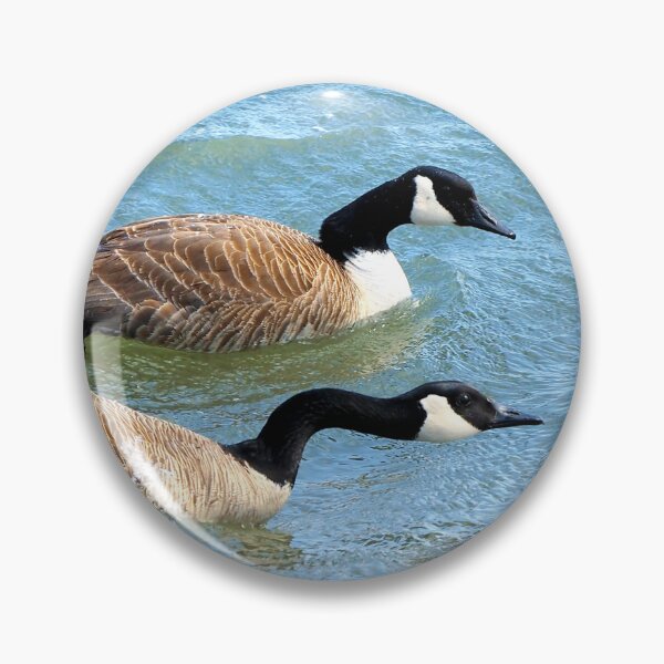 Aperçu de l'œuvre Parents protecteurs de Bernaches du Canada - Oiseau sauvage de Bernache du Canada créée et vendue par BackyardBirder.