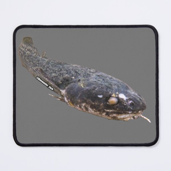 Item preview, Divemaster Zach "The Lawyer" designed and sold by Divemaster-zach.