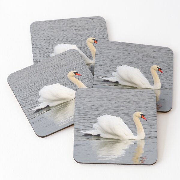Item preview, Cisne nadando en el agua designed and sold by BackyardBirder.