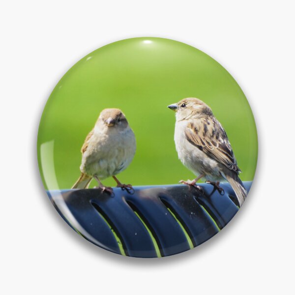 Item preview, Two Sparrows Resting On a Bench designed and sold by BackyardBirder.