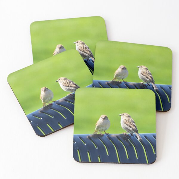 Item preview, Two Sparrows Resting On a Bench designed and sold by BackyardBirder.