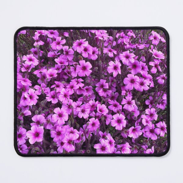 Item preview, Geranium Maderense Giant Herb-Robert Flower Photo designed and sold by BaggyYogaPants.