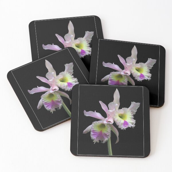 Item preview, A pair of frilly flowers - see the same design on different products. designed and sold by Julien Hebbrecht.