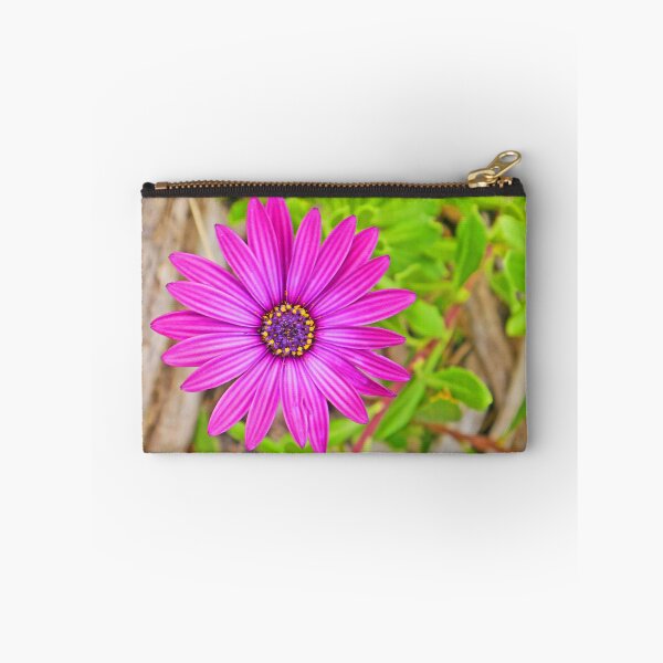 Item preview, Pink Gazania in the wild designed and sold by Graeme  Hyde.