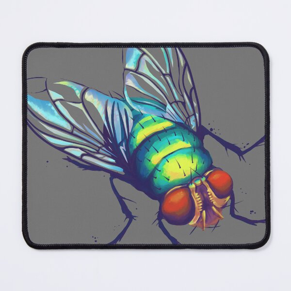 Item preview, fly colourful bug designed and sold by JessicaBessy.