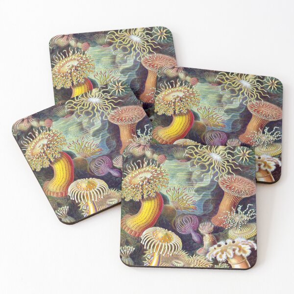 Item preview, Sea Anemones, Actiniae (Art Forms in Nature) Print designed and sold by joshukimble.