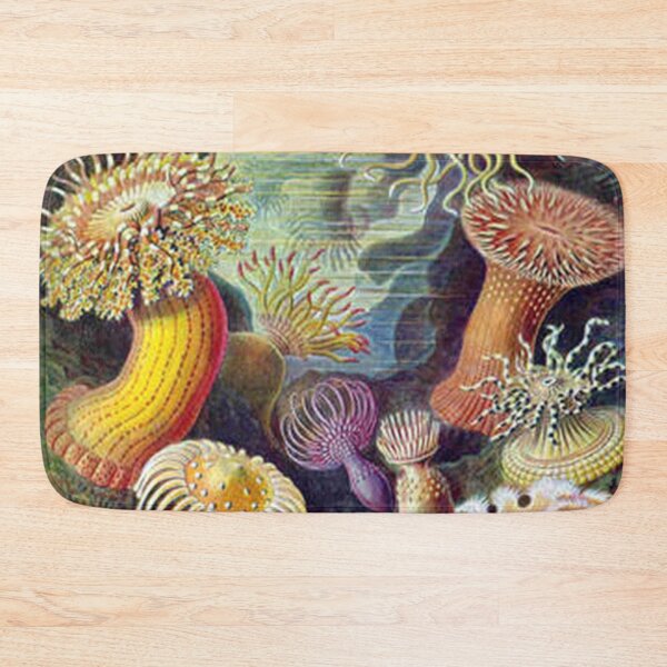 Item preview, Sea Anemones, Actiniae (Art Forms in Nature) Print designed and sold by joshukimble.