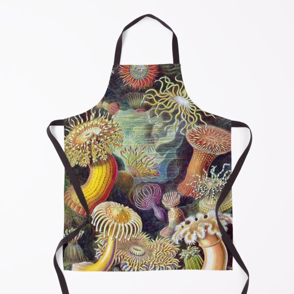 Item preview, Sea Anemones, Actiniae (Art Forms in Nature) Print designed and sold by joshukimble.