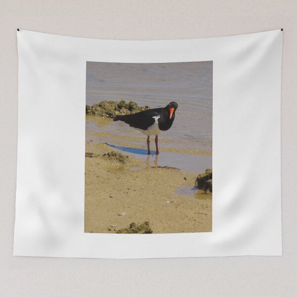 Item preview, Pied Oystercatcher (Haematopus longirostris) designed and sold by lezvee.