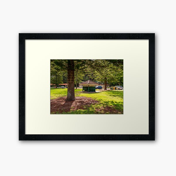 Item preview, Bobbin Head, Ku-ring-gai Chase National Park, Sydney designed and sold by rossacampbell.