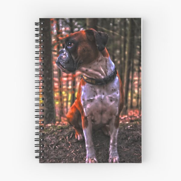 Item preview, HDR boxer she-dog in the forest designed and sold by Michael Hofmann.