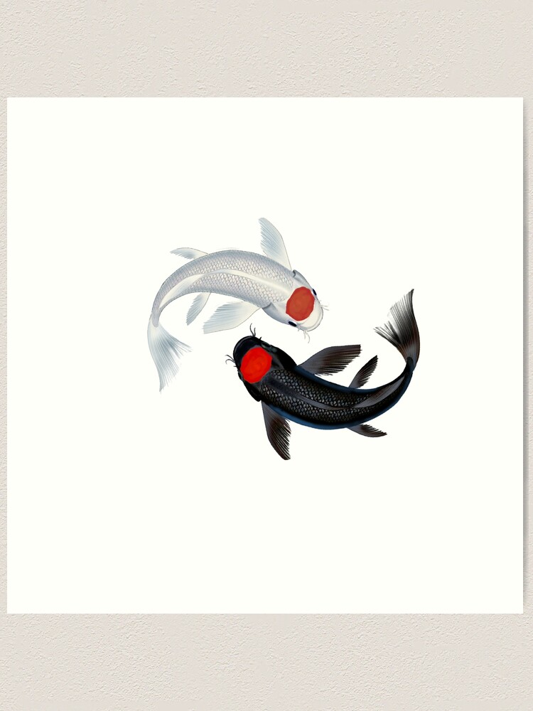 Koi Fish. River Stones. Minimalist Japanese Art. Yin Yang Koi Fish. Line  art. Watercolor Koi Fish. Greeting Card for Sale by OneLineArt