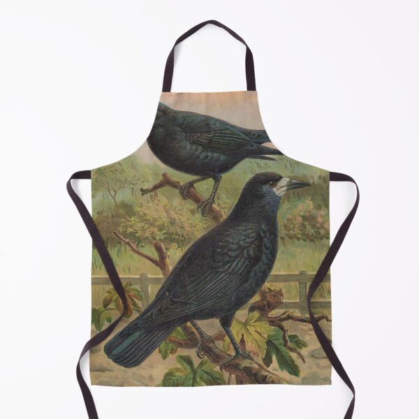 Item preview, Two crows "Corvus frugilegus" painting by JF Naumann designed and sold by Lacasadellora.