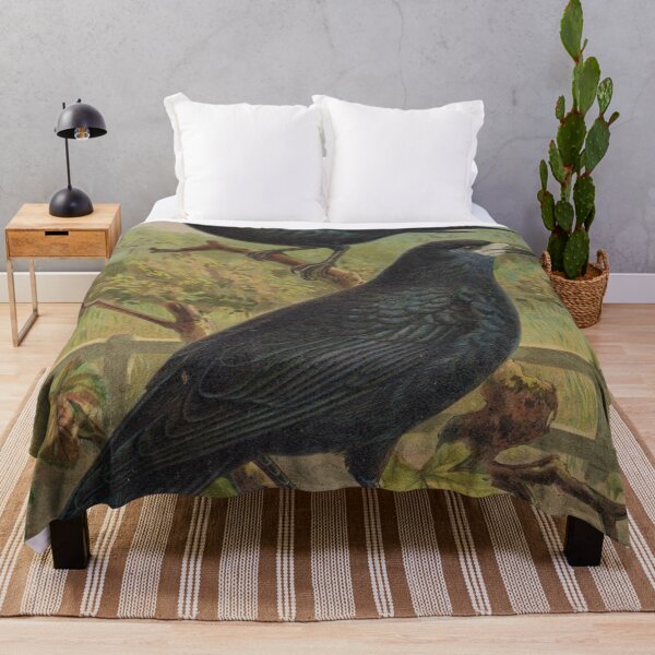 Item preview, Two crows "Corvus frugilegus" painting by JF Naumann designed and sold by Lacasadellora.