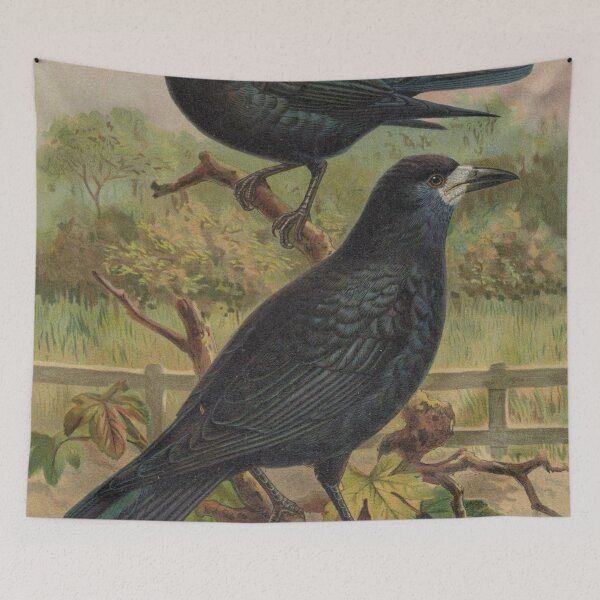 Item preview, Two crows "Corvus frugilegus" painting by JF Naumann designed and sold by Lacasadellora.