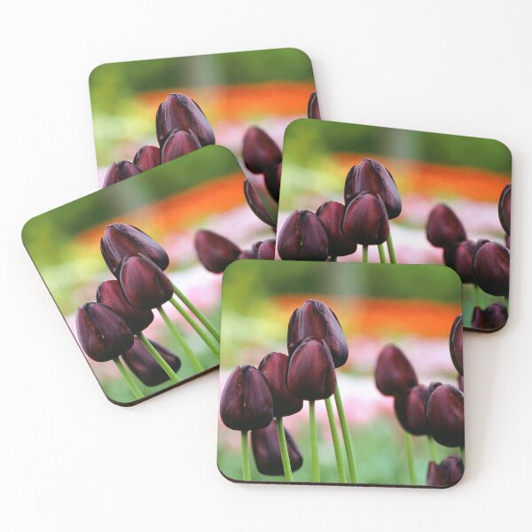 Item preview, Keukenhof Flower Gardens, Legend of the Black Tulip designed and sold by JonDelorme.
