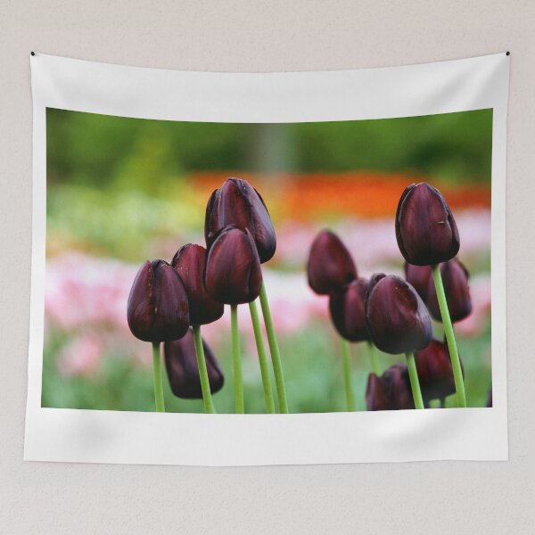 Item preview, Keukenhof Flower Gardens, Legend of the Black Tulip designed and sold by JonDelorme.