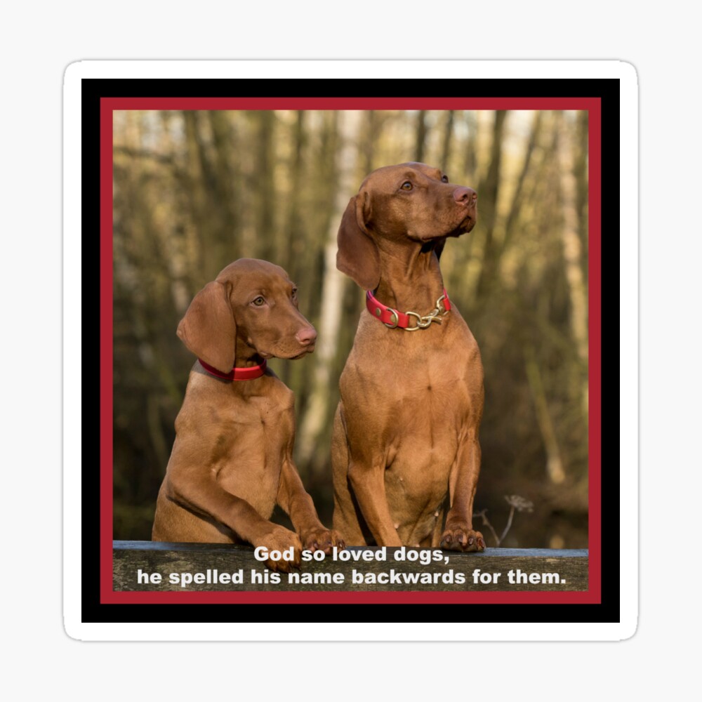 God So Loved These Two Dogs Art Board Print By Alaskandreamer Redbubble