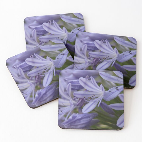 Item preview, Agapanthus designed and sold by Honey Myrtle Studio.